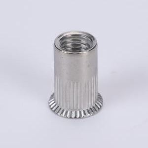 Countersunk Head Rivet Nut